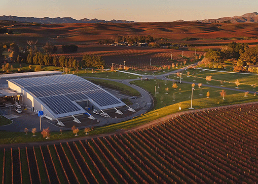 Vector's commercial scale solar array at Yealands Wine Group